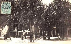 Tlemcen 203 